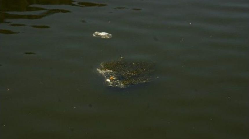 Akar&ccedil;ay&rsquo;da Balık &Ouml;l&uuml;mleri