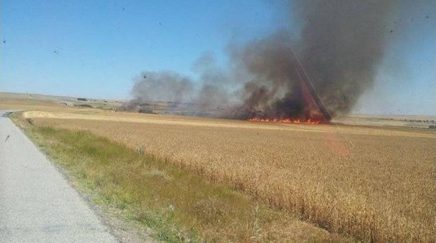 Sorgun&rsquo;da Karga 100 Dekarlık Ekili Arazinin Yanmasına Sebep Oldu
