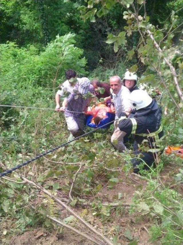 Ordu’da Trafik Kazaları: 6 Yaralı