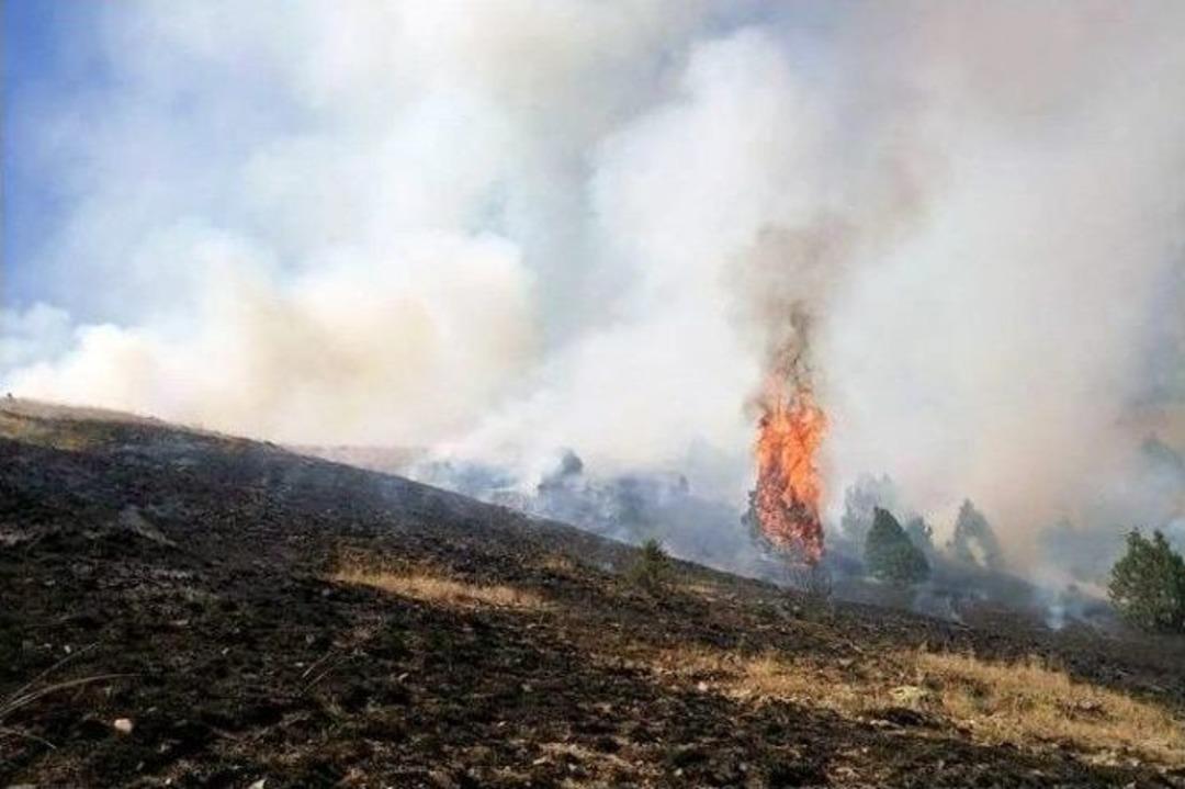Şiran&rsquo;da &Ccedil;ayır Yangını