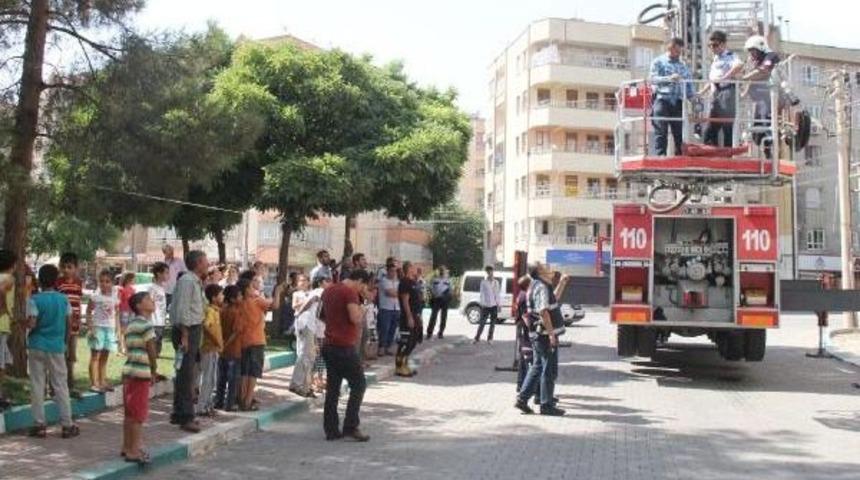 Ceset Kokusu Sandılar, Lağım &Ccedil;ıktı
