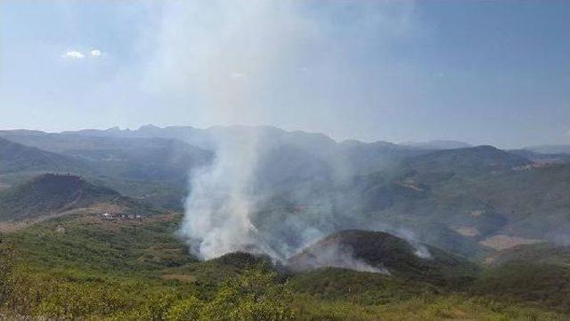 Tunceli'de Orman Yangını (2)