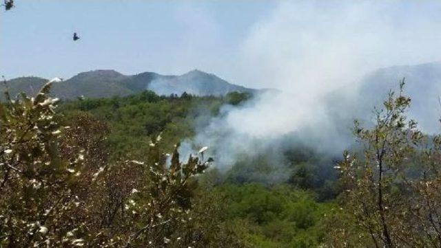 Tunceli'de Orman Yangını (2)