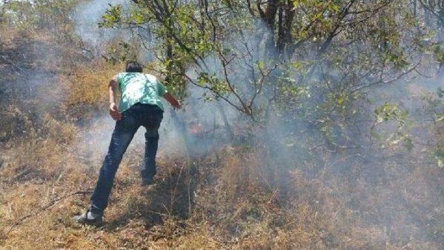 Tunceli'de Orman Yangını (2)