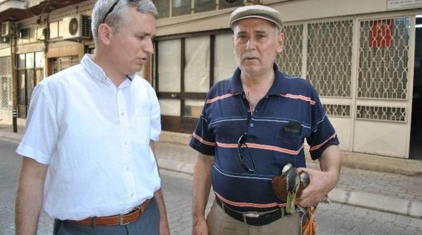 Aydınlı Mali M&uuml;şavir Yaralı Yaban &Ouml;rdeğine Sahip &Ccedil;ıktı