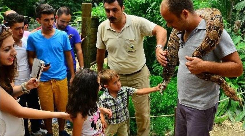 Hayalleri Ger&ccedil;ek Oldu