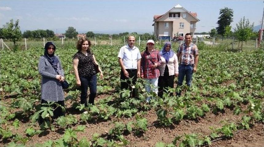 D&uuml;zceli &Ccedil;ift&ccedil;iye Alternatif &Uuml;r&uuml;n