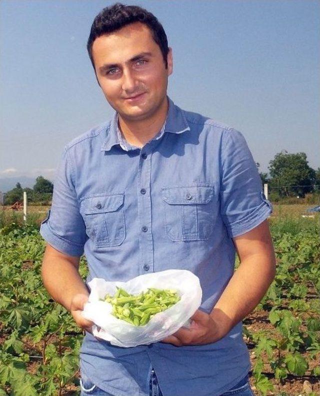 Düzceli Çiftçiye Alternatif Ürün