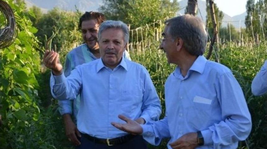 Valimiz Sayın Süleyman Kahraman, Seracılık Projesi İçin İncelemelerde Bulundu