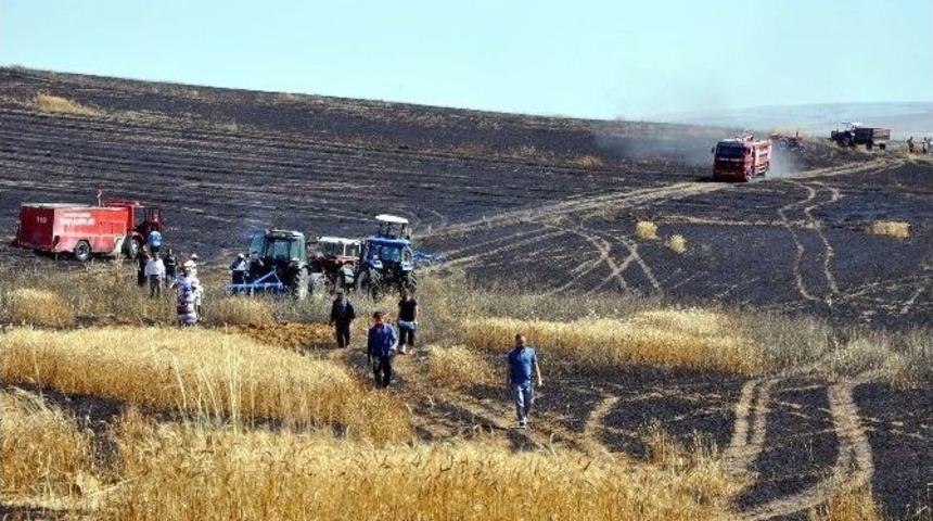 Karga, Bin D&ouml;n&uuml;ml&uuml;k Hububat Ekili Alanının Yanmasına Neden Oldu