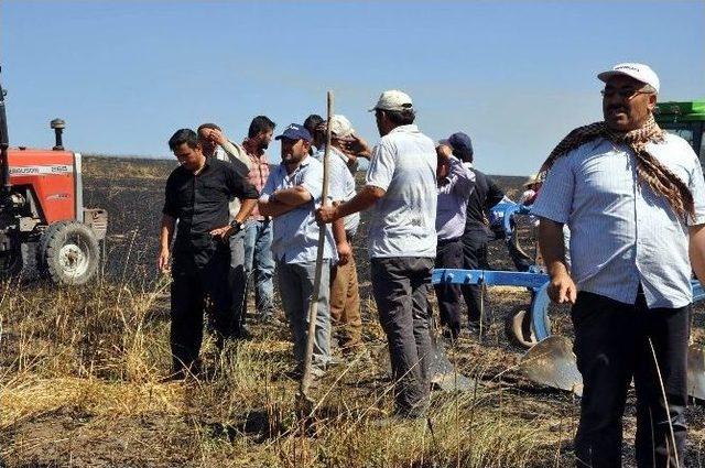 Karga, Bin Dönümlük Hububat Ekili Alanının Yanmasına Neden Oldu