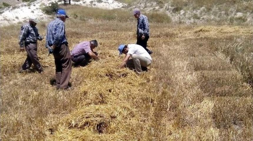 K&uuml;tahya&rsquo;da Bi&ccedil;erd&ouml;ver Denetimi