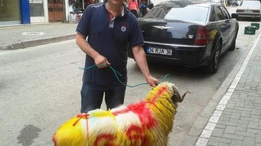 Tuttuğu Takım Şampiyon Olunca Kurban Kesti