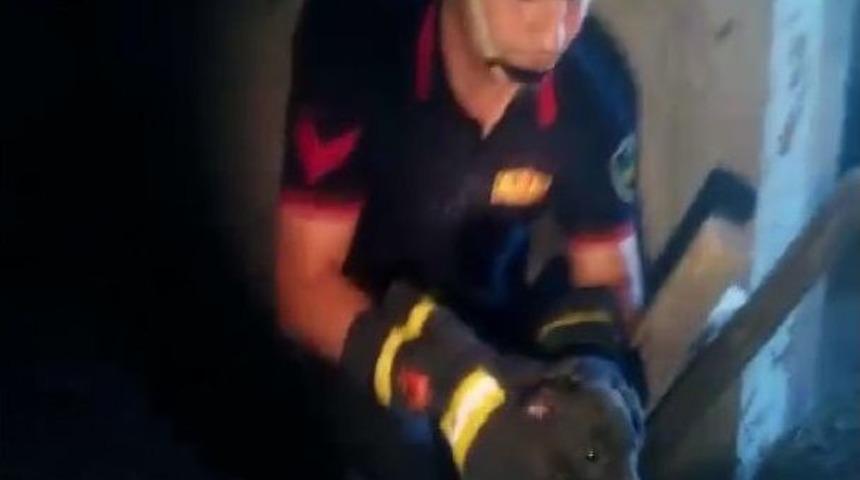 İnşaat Boşluğuna D&uuml;şen Yavru K&ouml;pek Kurtarıldı