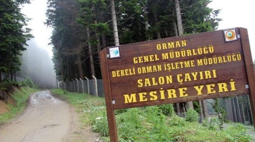 Tkdk Desteğiyle Yaz Ve Kış Turizmine Ev Sahipliği Yapacak