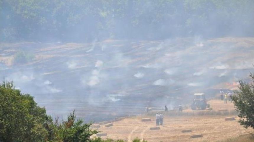 Malkara&rsquo;Da 2 Bin Saman Balyası K&uuml;l Oldu