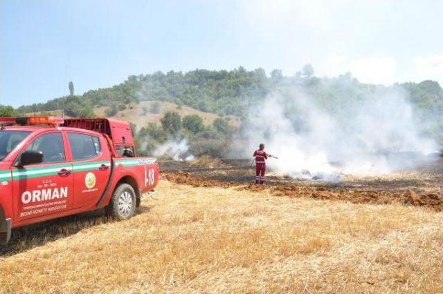 Malkara’Da 2 Bin Saman Balyası Kül Oldu