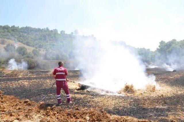 Malkara’Da 2 Bin Saman Balyası Kül Oldu