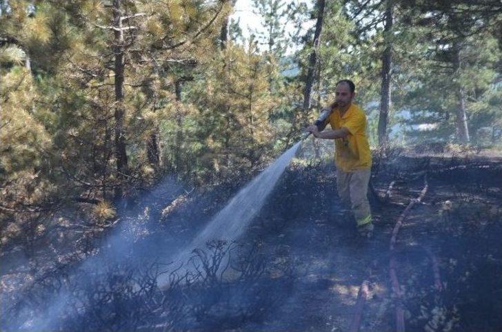 (özel Haber) Kargı’da Orman Yangını G1