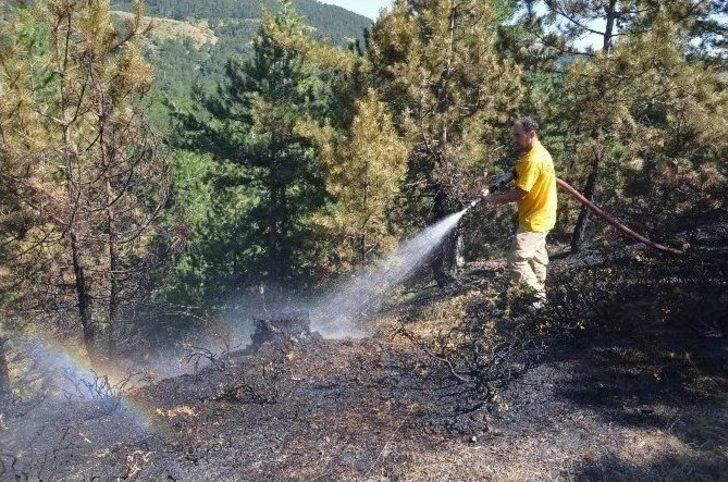 (özel Haber) Kargı’da Orman Yangını G2