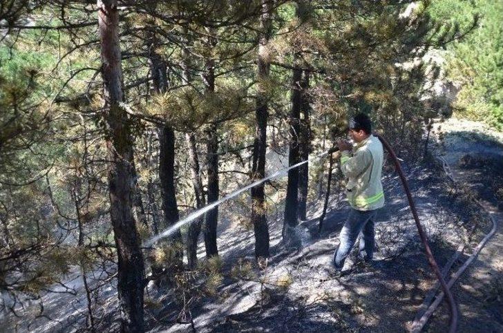 (özel Haber) Kargı’da Orman Yangını G3