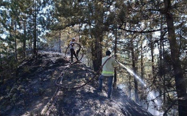 (özel Haber) Kargı’da Orman Yangını G4