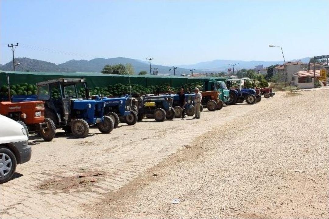 Osmaneli&rsquo;de Kilosu 10 Kuruşa Karpuz