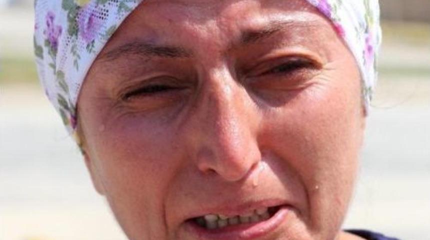 Kayıp K&ouml;peği Hektor I&ccedil;in Ağladı