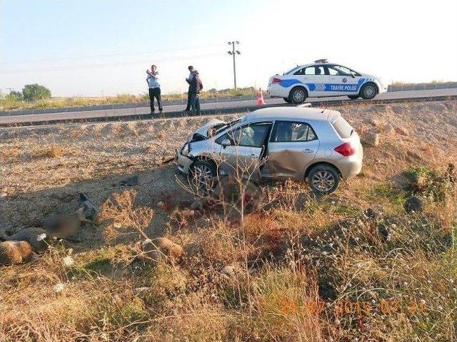 Koyun Sürüsüne Dalan Otomobil 21 Koyunu Telef Etti