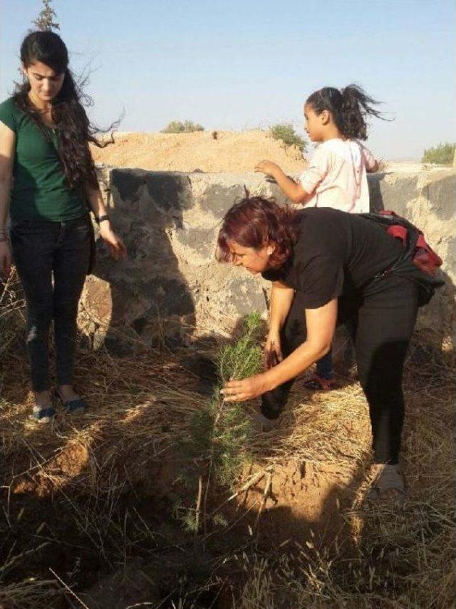 Suruç'ta Sgdf'li Gençler Anısına Orman