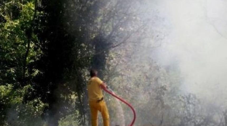 Taraklı&rsquo;da Yangın