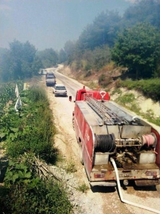 Taraklı’da Yangın