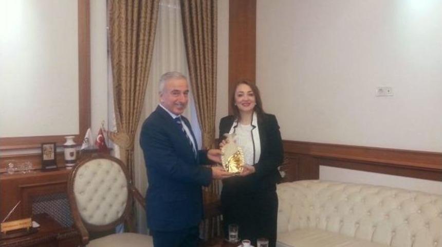 Atasoy, Malatya&rsquo;da