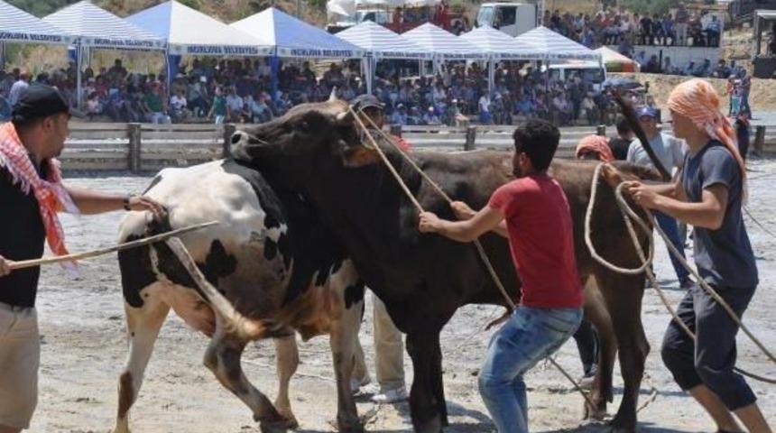Germencik'te Mehterli Boğa G&uuml;reşi