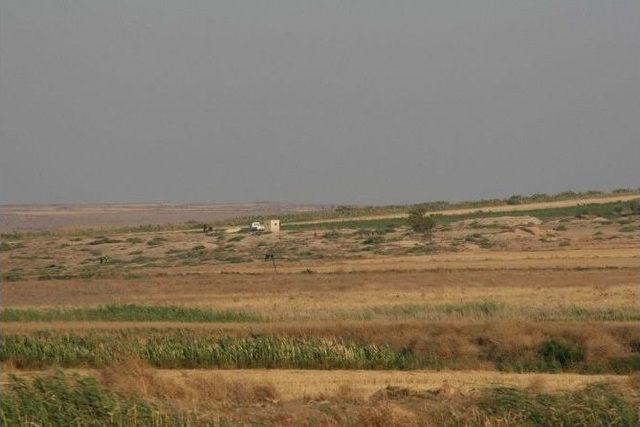 Suriyeliler, Çatışmadan Sonra İlk Kez Sınırda Görüntülendi