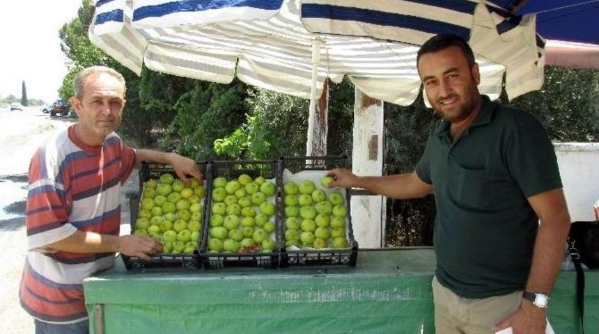 Aydın&rsquo;da Yılın İlk İncirleri Tezgahlarda Yerini Aldı