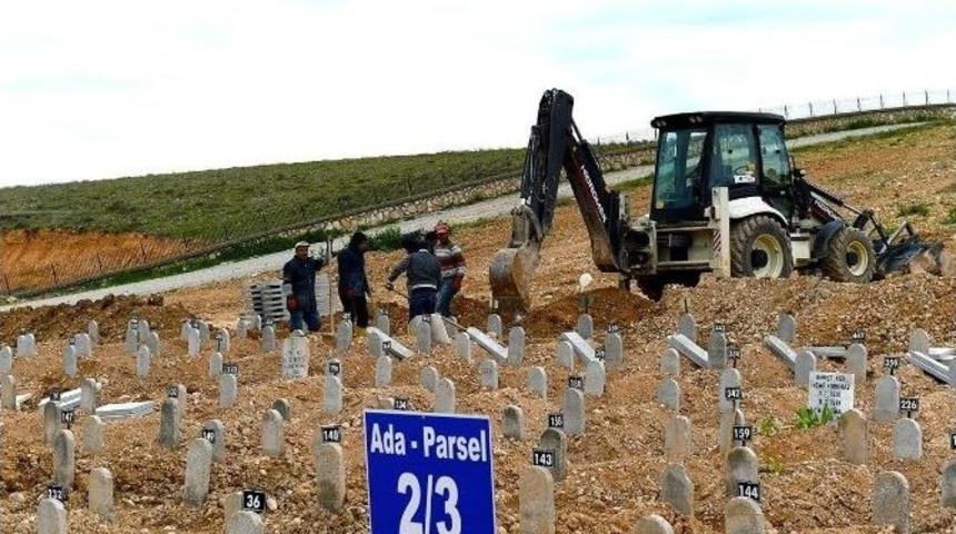 2 Bin 460 Mezar Nakledildi