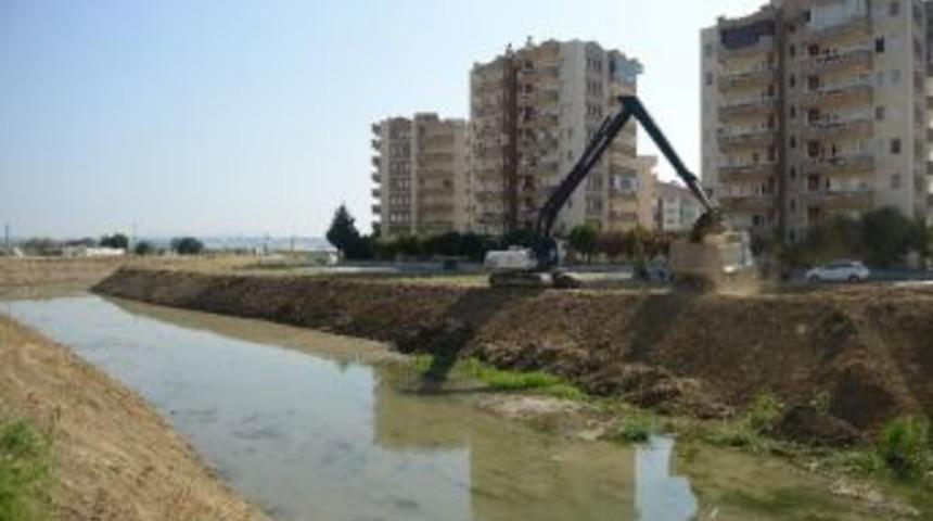 Derelerde Yaz Temizliği