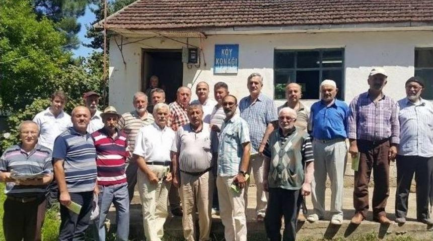 Bahçelerde Kanlı Balsıra Hastalığı