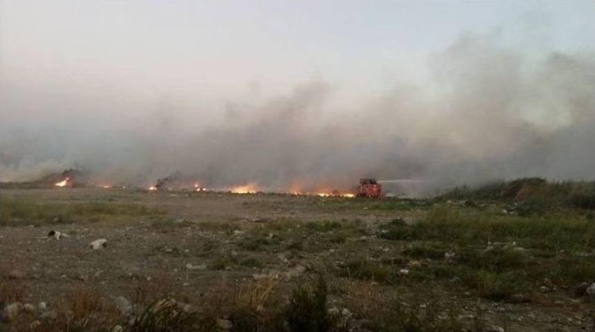 Sazlık Alan Yine Yandı