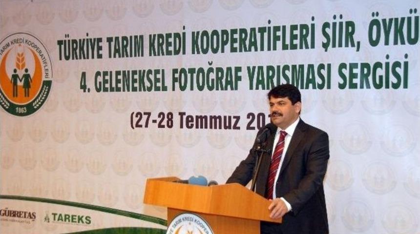 Toprağın Dili Şiirlere Ve Fotoğraflara D&ouml;k&uuml;ld&uuml;