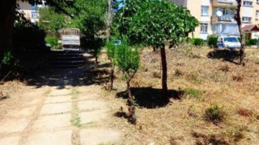 Seydişehir Belediyesi&rsquo;nden İzinsiz Ağa&ccedil; Kesenlere Ceza