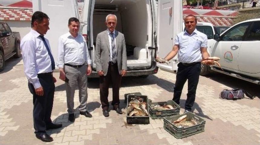 Yozgat&rsquo;ta Kural Dışı Yakalanan 400 Kilo Balığa El Konuldu