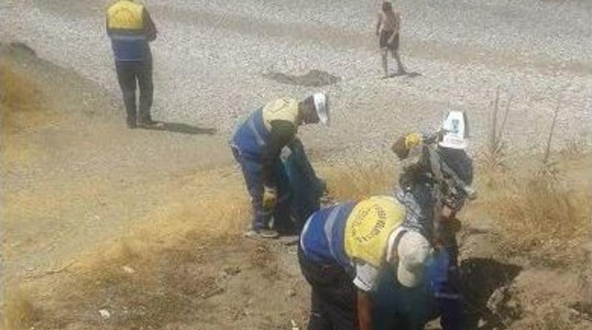 Tuşba Belediyesi&rsquo;nden Sahil Temizliği