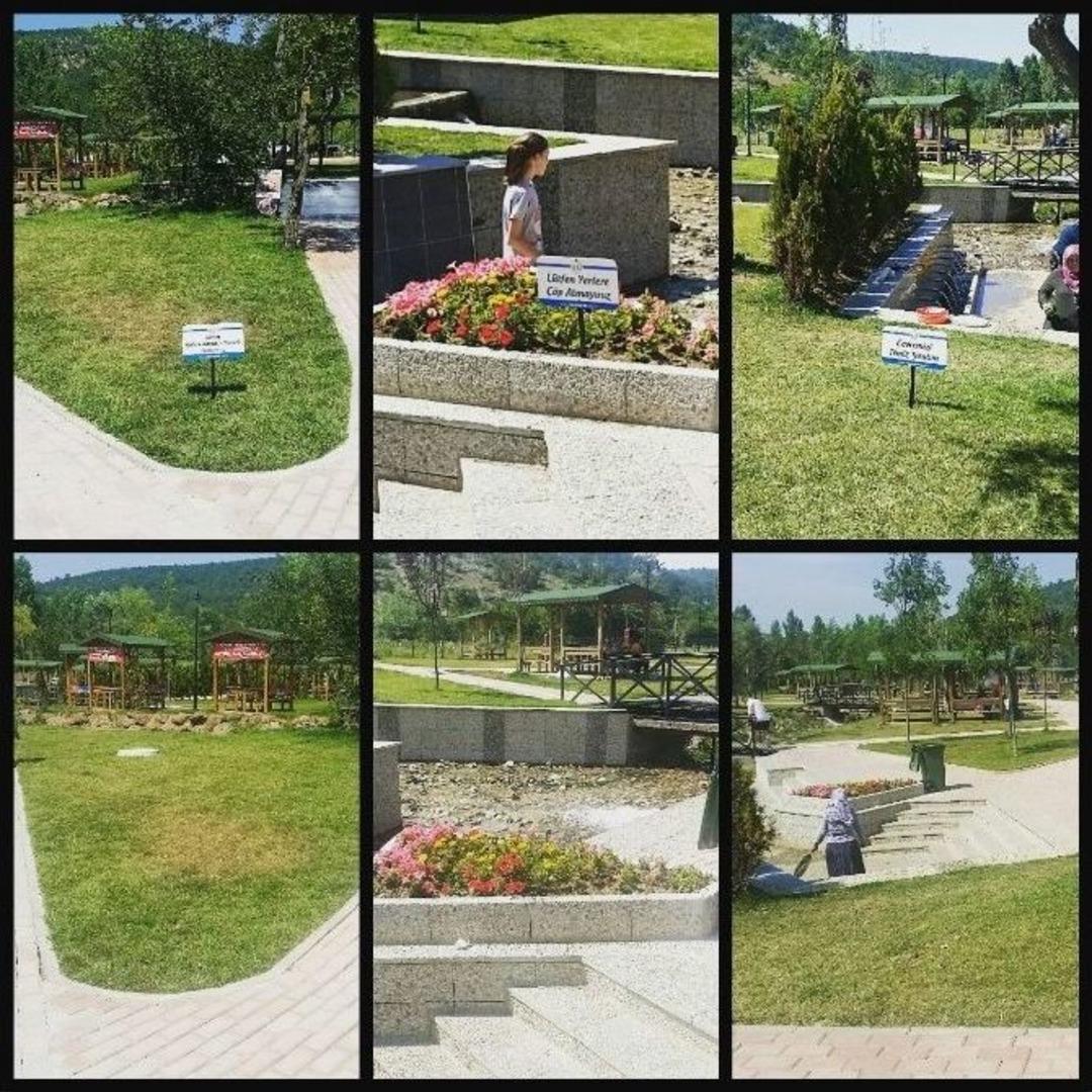 T&uuml;rbin Mesire Yerine &Ccedil;irkin Saldırı