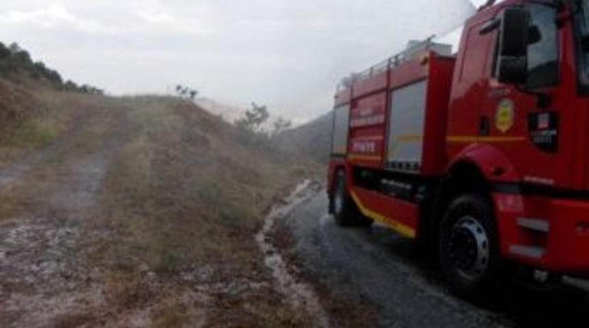 Ara&ccedil;lara Saldıran Arılara İtfaiyeden Sulu M&uuml;dahale