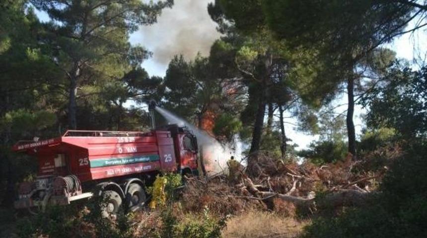 Soma'da Orman Yangını (2)