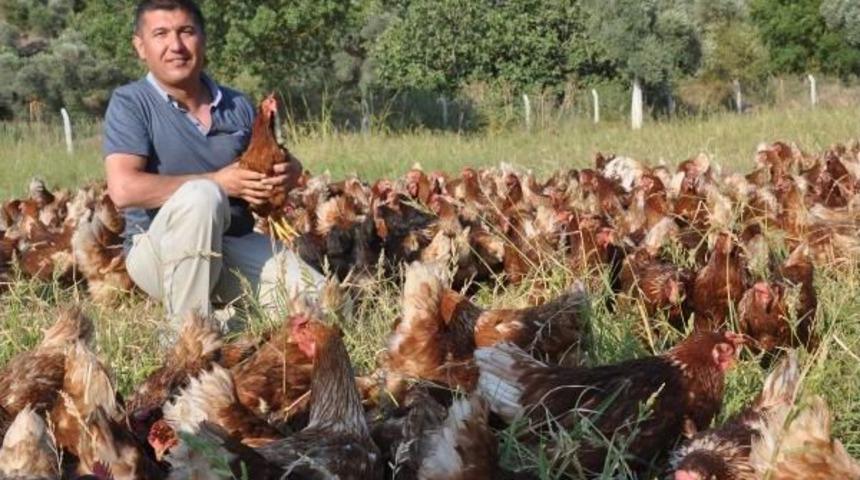 '&ouml;zg&uuml;r Tavuklar'ın Yumurtasını 'gagak' Markasıyla Sofraya Taşıdı