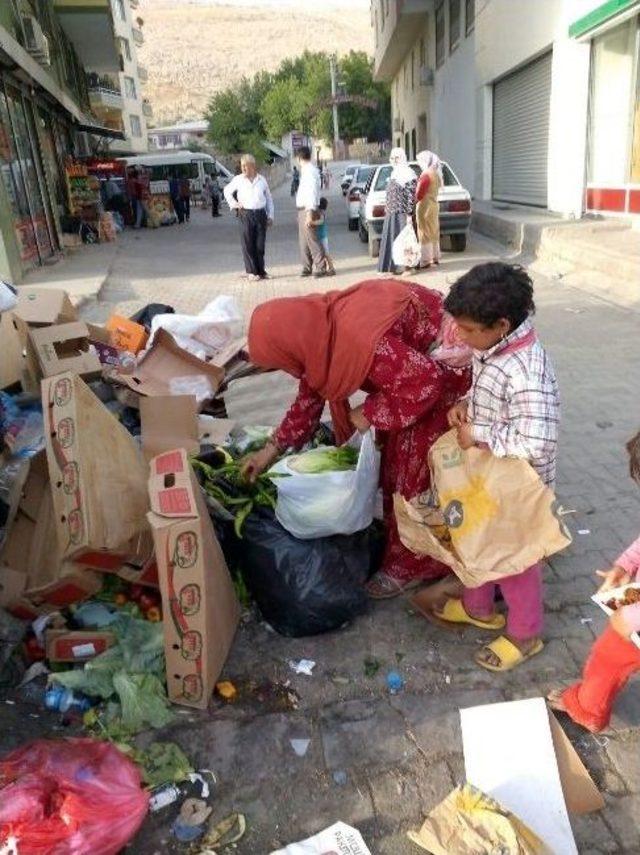 Yoksulluktan Çöplerde Yiyecek Arıyorlar