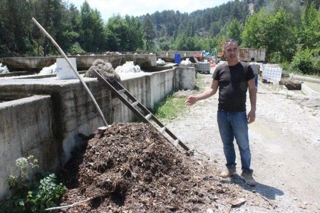 Sel Suları 250 Bin Balığı Telef Etti